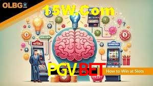 Game Providers PGVBET
